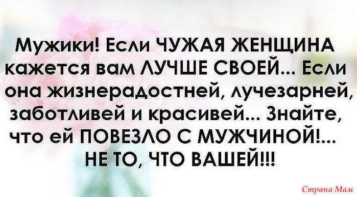 75cdea3d3072a541b.webp