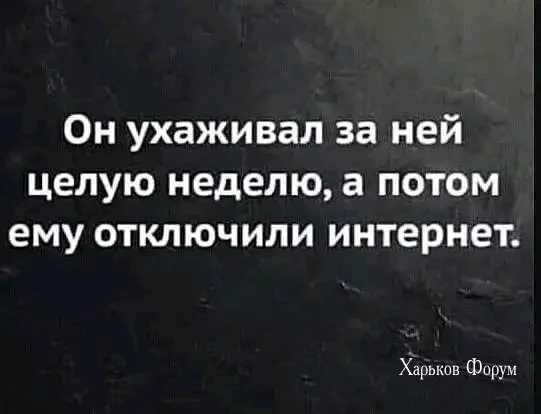 75ee268caeef2ce4.webp