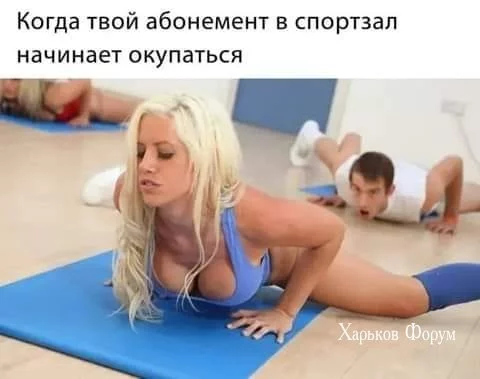 7602de76415e6651b2a6bc6d.webp
