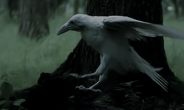 761e4574abf631fad5eee31aefc92425a8050403.gif