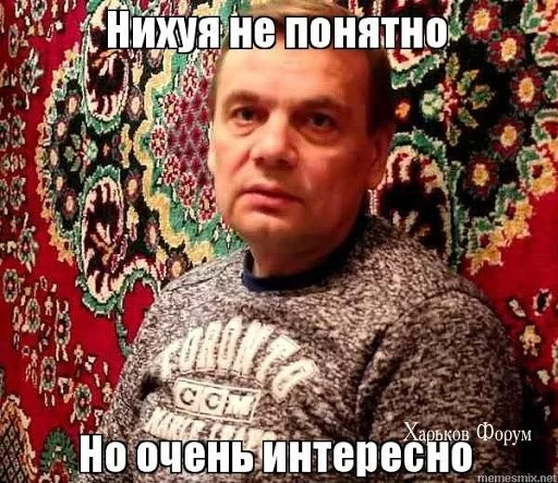 76253290257e6494.webp