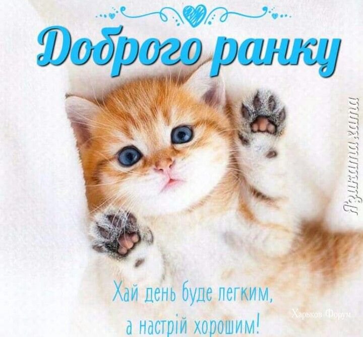 7637fe5e23b3480caad6.jpg
