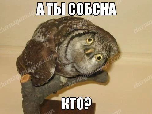 7649a8c17e1021f9f106445b6d5326ec67.webp