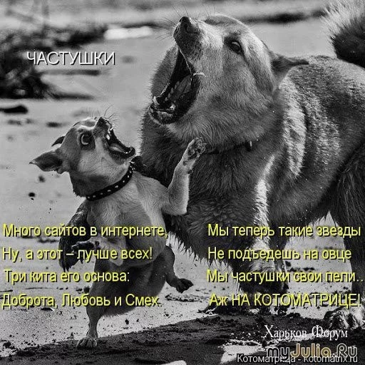 764cf8efb9cc798f.webp