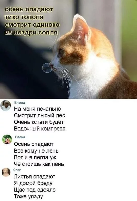 7652deee096ae124a2c14.webp