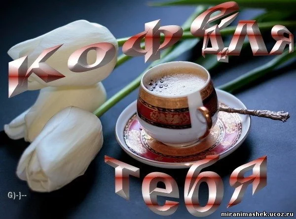 766112237237393920.webp
