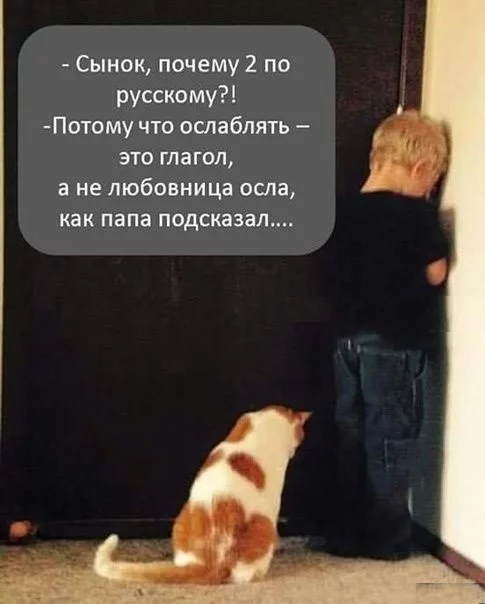 7662769.webp