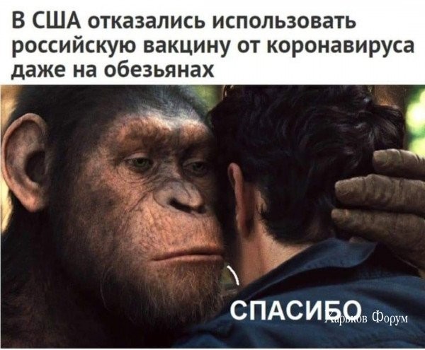 7673711bf326d86dad.jpg
