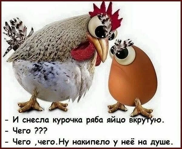 76789f58bd04b441e4afb.webp