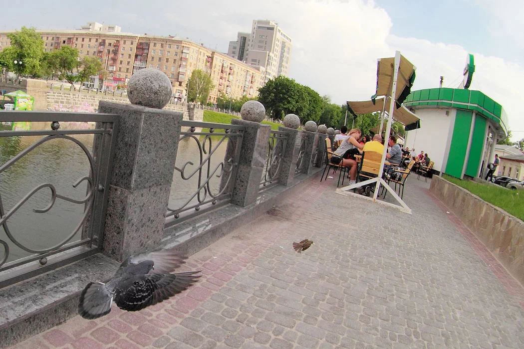 767901.webp