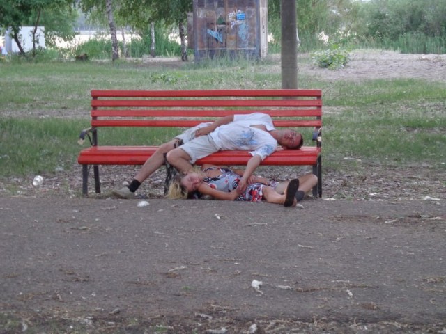 7680442.jpg