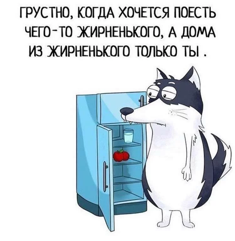 76806755bd1d38ce8f8cad.webp