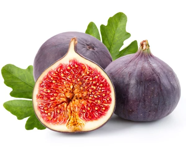 76871Fotolia_61934758_Subscription_Monthly_M-Small.webp