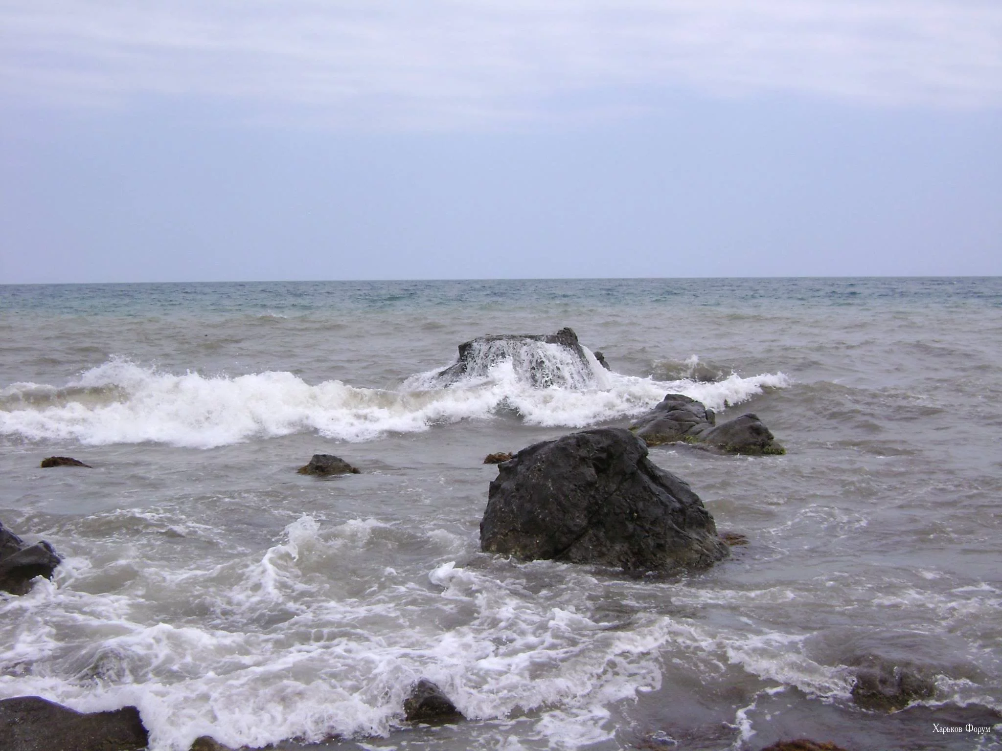 7687f6485d7bb24c7b.webp