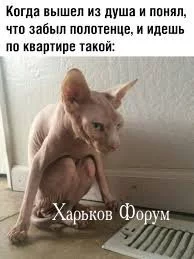 76cb6990247d6843382ac6.webp