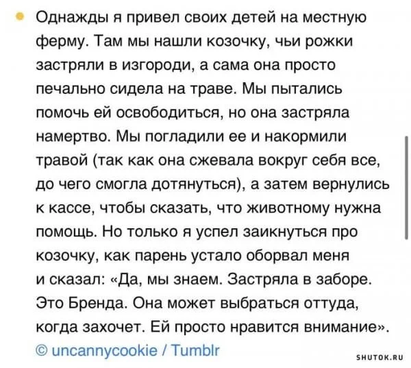 76d8f4b0247921e32f.webp