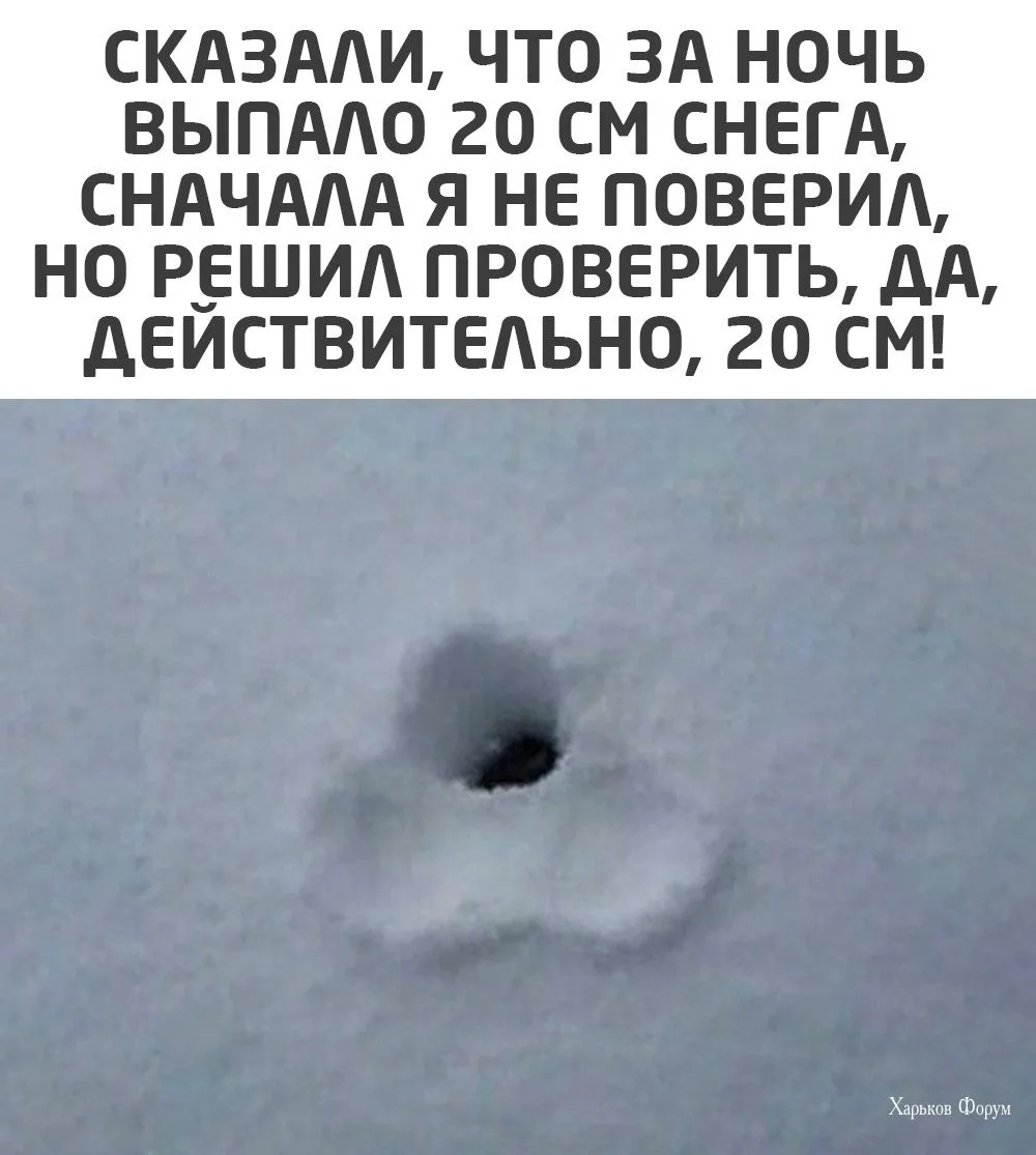 76edd4feb2cfb2578.webp