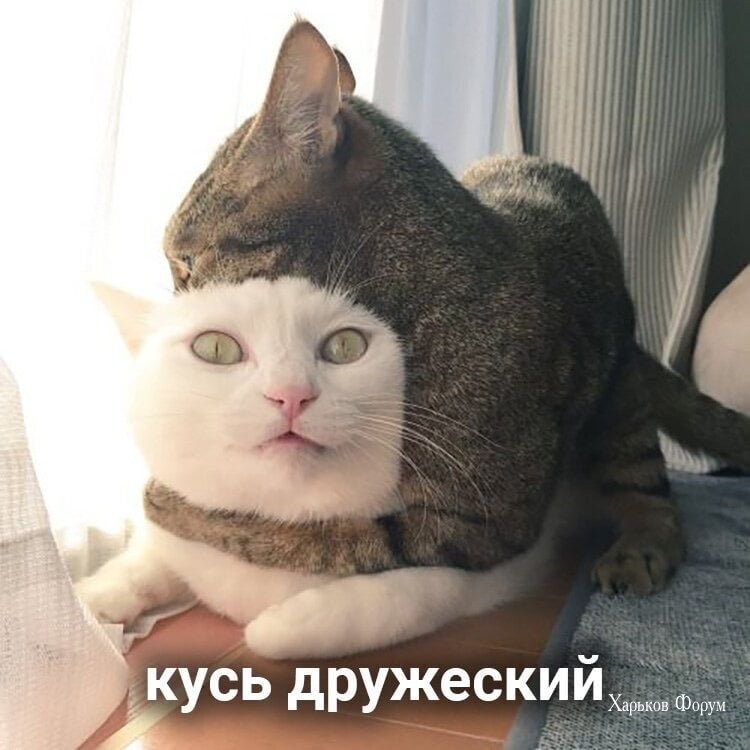 76efa879ce343b847fcf6d.jpg