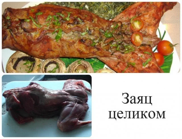 76f4c2fcf4ab19d02d8007a5e9d17aaf.webp