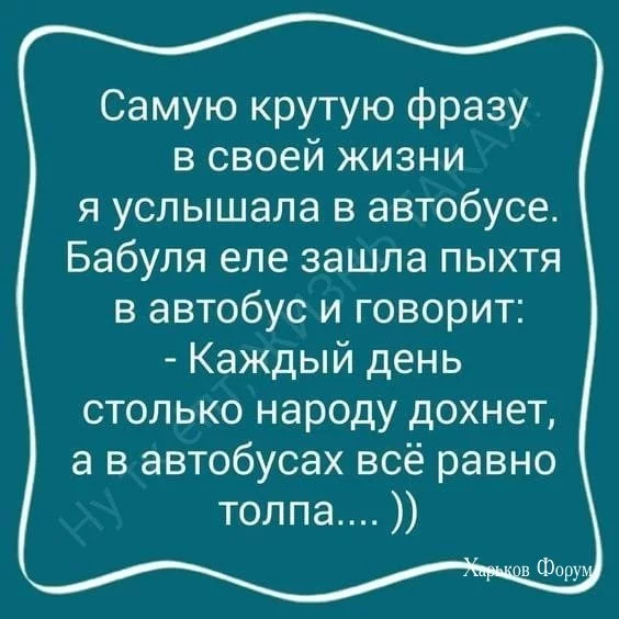 76ff56ec89a7760665431d77.webp