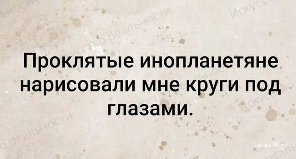 77063168f80468f3aed06.webp