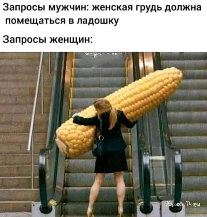 773df9397960117ec4b7.webp