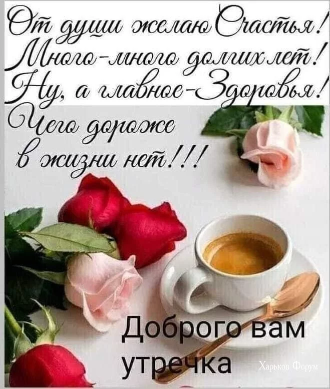 775131c771ea1ec7b85ff80f.webp