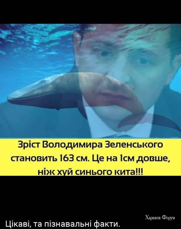 7751973c57409ab63711.webp