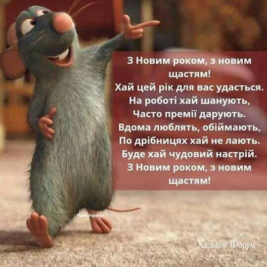 7751c3fb8d389e00c84345e.jpg