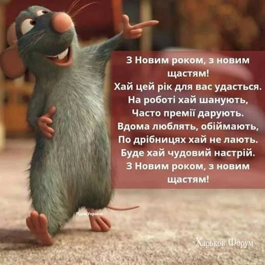 7751c3fb8d389e00c84345e.webp