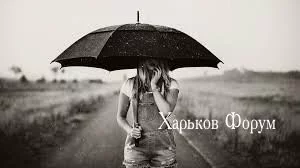 775786ed8df84c8ee.webp