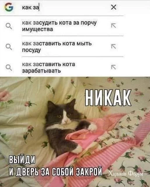 7762056088a9da60f49d.webp