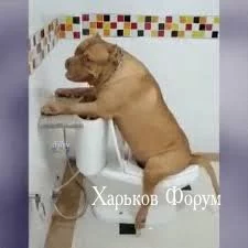 776429ad9b109758123a9.webp