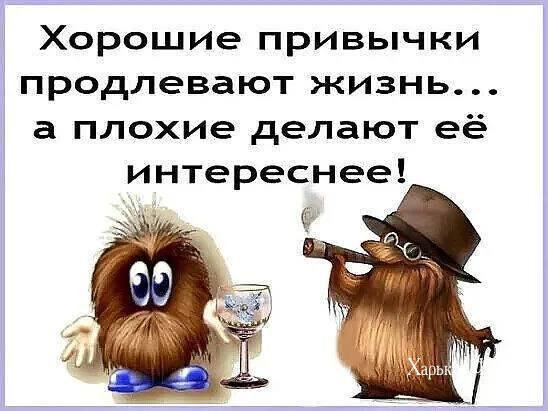 77653c85fb6b446e80c2bd68.jpg