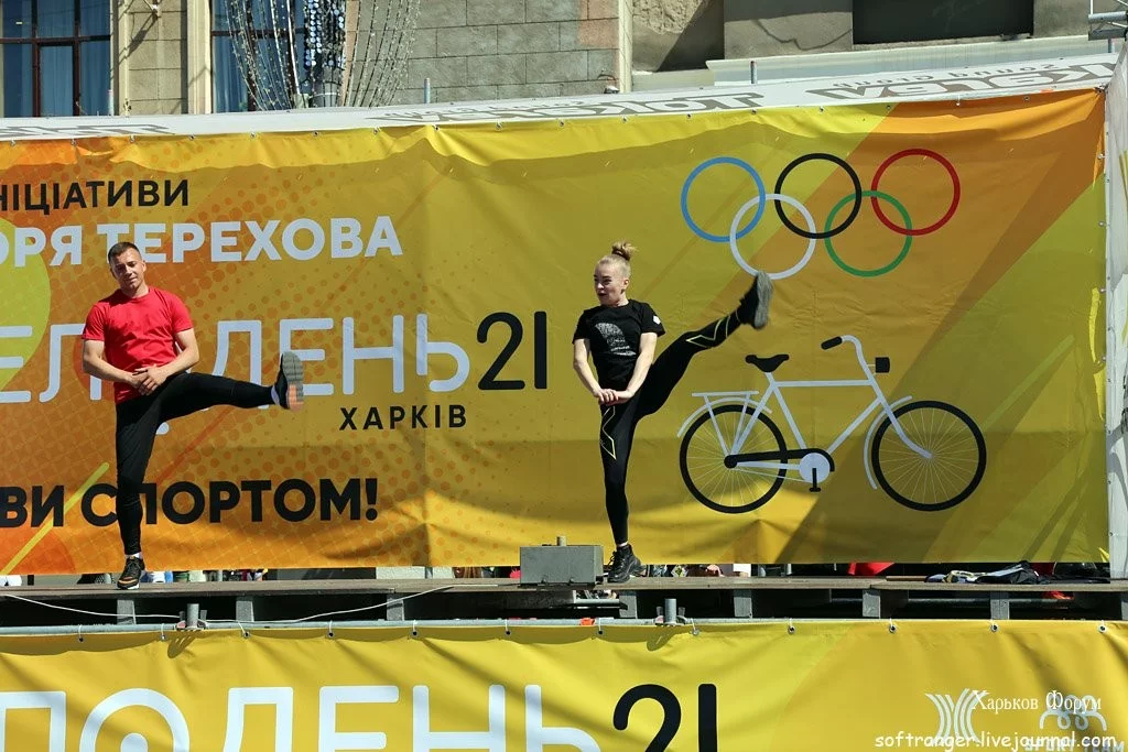 777b026c3e8de1607.webp