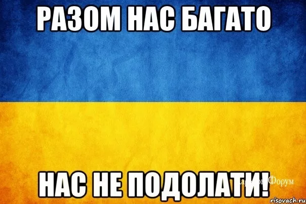777e71013e4f59ebafb.webp