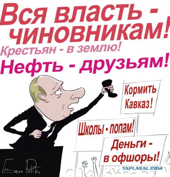 7786536.webp