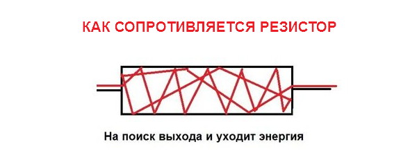 7798631_original.jpg