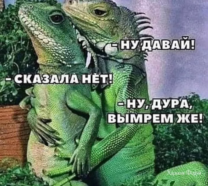 779c64540af3b942a0c7.webp