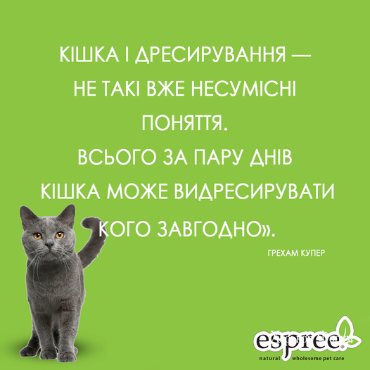 77a3b342a1ec62a4.png
