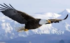 77a5e36e4fb78197d.webp