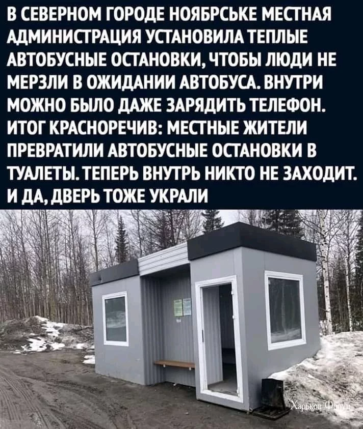 77b28da50d7b00922.webp