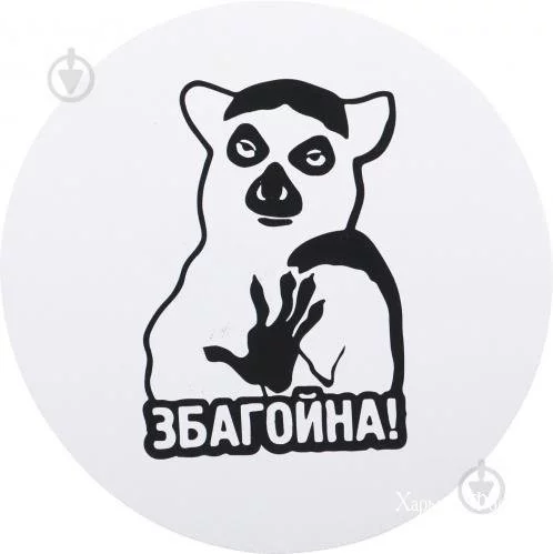 77b4b07b5f39de0123d.webp