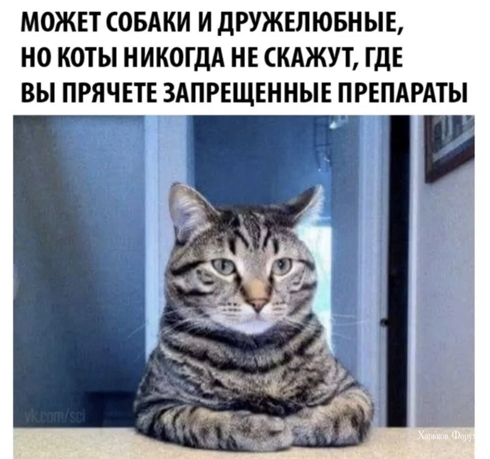 77b5910e9763d5c4ed.webp