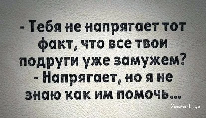 77d3354eafae661213abc57.webp