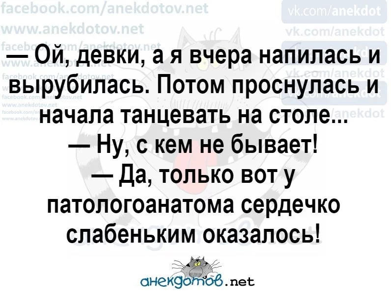 77d5faf9ba26f8e97.webp