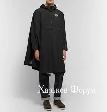 77dc06bf95a6057958780776.webp