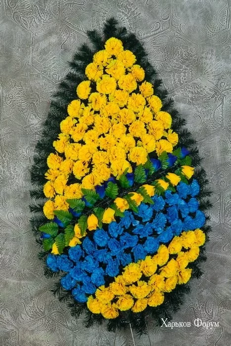 77df5bfedf9ae3e7f35e.webp
