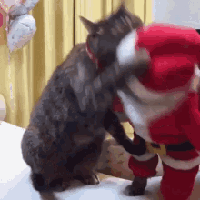 77e8084a899281223.gif