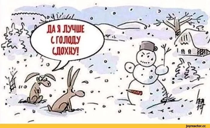 77ebea42814765e462b4562.webp